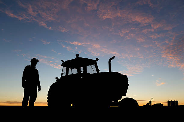 Farmer at Dawn stock photo