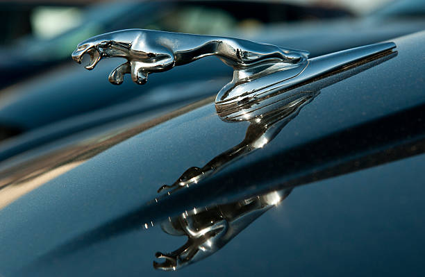 jaguar emblema de capô - hood ornament - fotografias e filmes do acervo