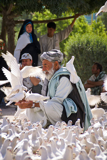 afghanischer mann fütterung doves in der blauen moschee in mazar - mazar stock-fotos und bilder