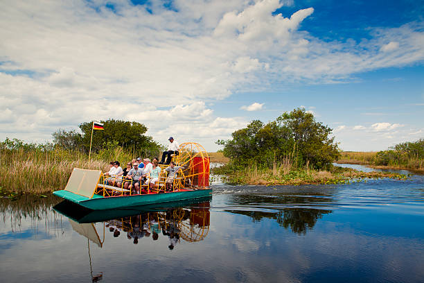 air boat in the florida everglades  everglades national park photos stock pictures, royalty-free photos & images