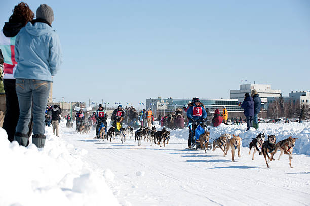 dogsled レース - yellowknife ストックフォトと画像