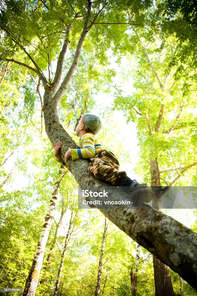 Peu de montée d'escaliers - Photo de Arbre libre de droits