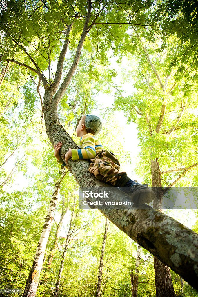 Little climber - Foto stock royalty-free di Albero
