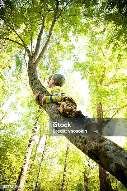 Little Climber - Fotografie stock e altre immagini di Albero - Albero, Bambino, Scalare