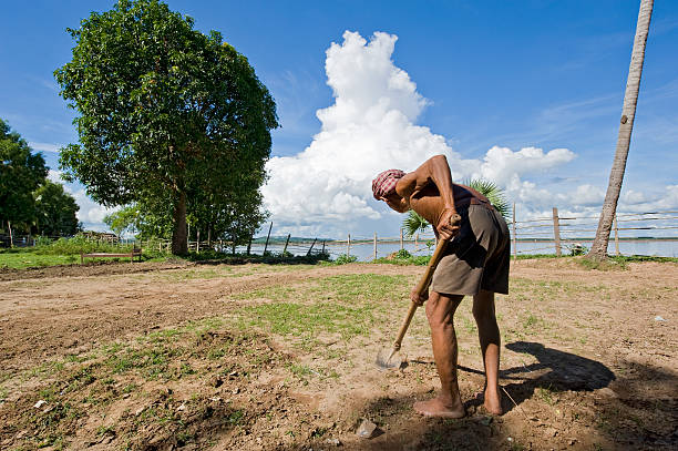 Asian village lifestyle concept of Thailand, a cock fighting trainer raising and training his rooster in Sakon Nakhon, Northeast Thailand, Isan way of life.