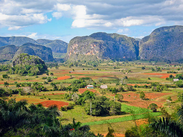 viñales mogotes в валье-де-куба - cuba rural scene non urban scene day стоковые фото и изображения