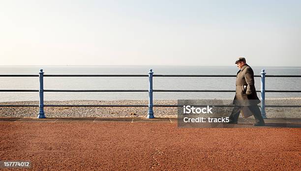 노던 Promenade 봄에 대한 스톡 사진 및 기타 이미지 - 봄, 걷기, 랭커셔