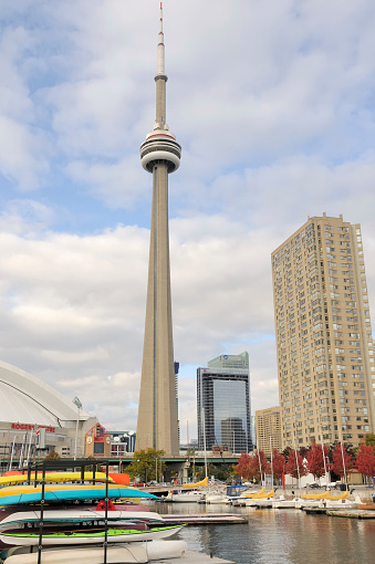 The Toronto Old City Hall on the background of skyscrapers, Canada