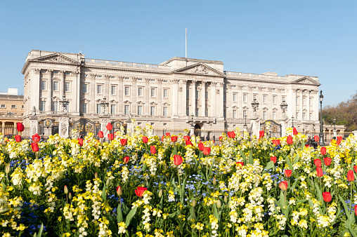 Buckingham Palace, City of Westminster, London, England, UK. Bright sunny days in the capital city highlight the classical architecture and iconic sites in these outdoors scenes of London in early summer, England, UK