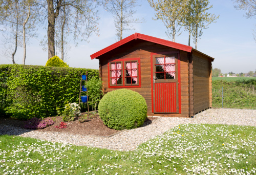 Little pine wooden cottage with curtains, buxus ball, hornbeam hedge,garden path with pebbles  and lawn with daisies in spring.Poplar trees in the background.