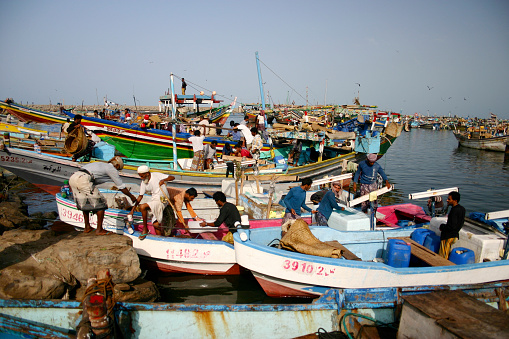 Alexandria, Egypt - June 21, 2023:Fisherman working at coast of Mediterranean Sea in Alexandria Harbor. The cityscape of Alexandria and fisherman boats can be seen in the background.