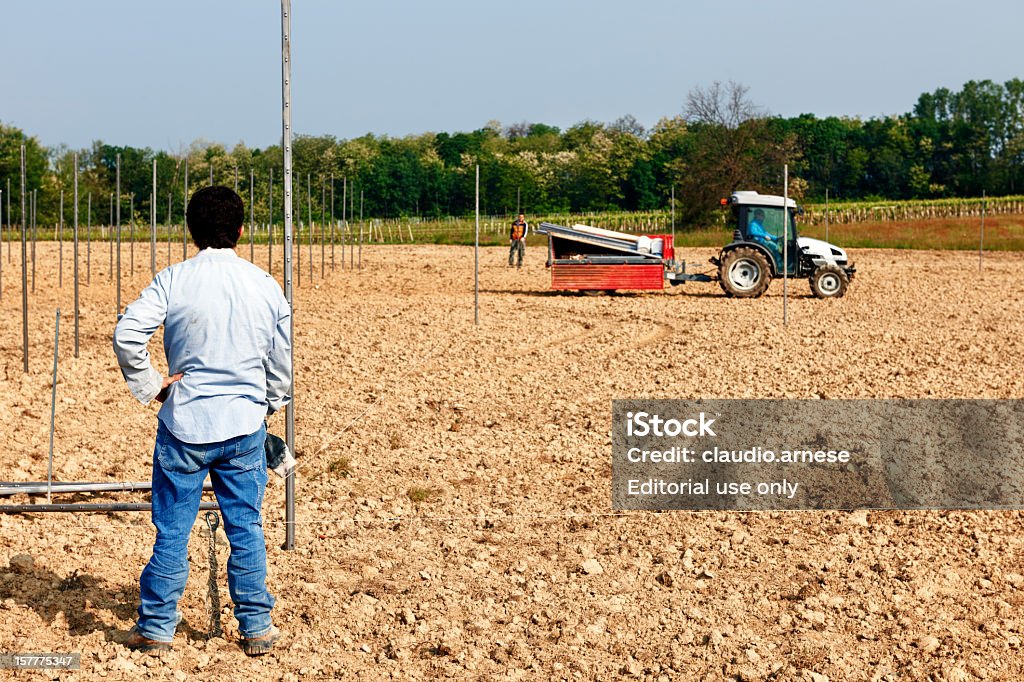 Lavoratore agricolo. Immagine a colori - Foto stock royalty-free di Adulto