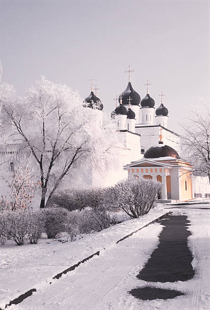 invierno en el kremlin. - tony snow fotos fotografías e imágenes de stock