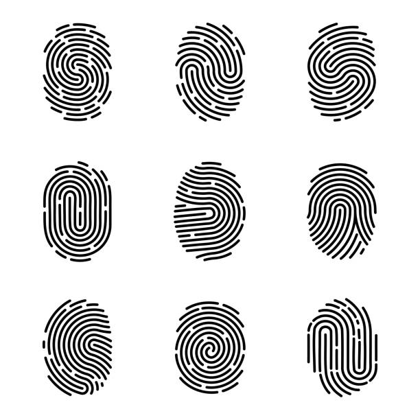 Thumb finger prints. Access icons. Forefinger imprint. ID logo. Identity detection. Fingerprint and thumbprint. Biometric identification. Line touch pattern. Vector isolated symbols set Thumb finger prints. Access icons. Human forefinger imprint. ID logo. Identity detection. Fingerprint and thumbprint. Biometric identification. Touch black line pattern. Vector isolated symbols set detective icon set stock illustrations
