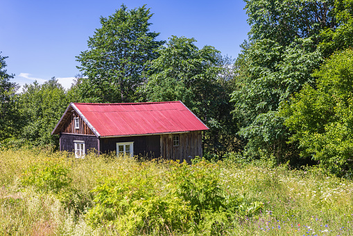 Falköping, Sweden-June, 2021: Cottage in a wild garden
