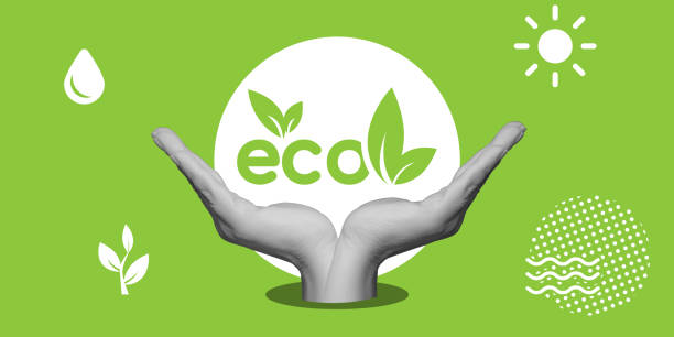 Ecological concept. Respect for the planet, nature, egological neutrality. Two hands support the word Eco on a light green background. Minimalist art collage.