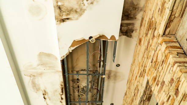 istock Damaged gypsum board ceiling background. Broken gypsum plaster ceiling from rain water leaking roof with iron frame structure and light bulb beside bricks wall. 1577908798