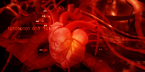 Heart Attack, Heart Disease, Heart - Internal Organ, Illness, Research