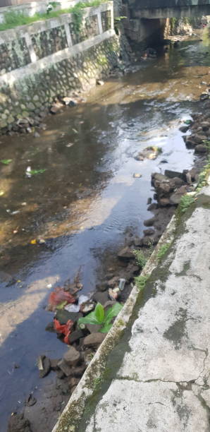 istock Water ways at big city 1577917769