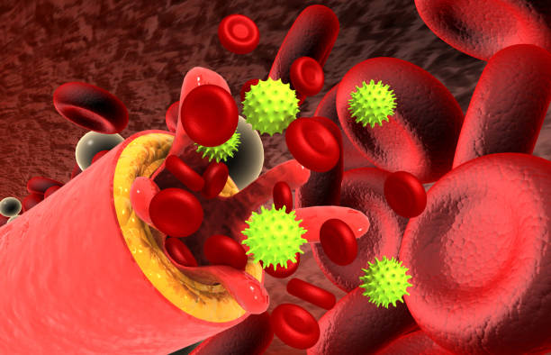 istock Virus with red blood cells 1577925491