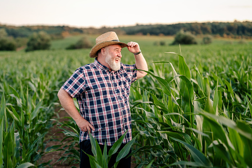 Portrait of proud mature farmer enjoying the success of his agricultural business