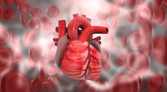 Human heart on modern scientific background. 3d illustration