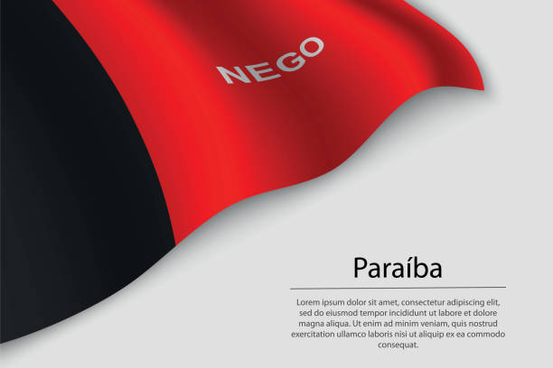 istock Wave flag of Paraiba is a state of Brazi 1577980226