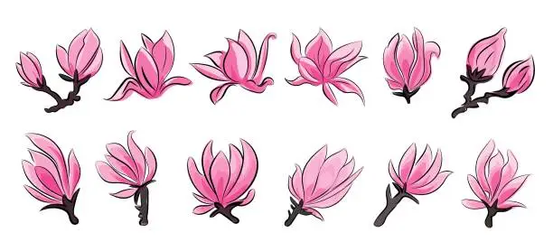 Vector illustration of Japanflowers2