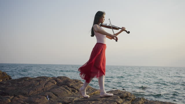 Beautiful girl with violin.