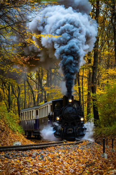 istock Steam locomotive 1578109172
