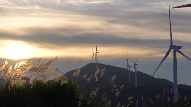 Wind turbines running in the evening