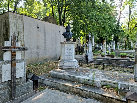 Șerban Vodă Cemetery (commonly known as Bellu Cemetery) is the largest and most famous cemetery in Bucharest, Romania. The image shows sveral graves at the Bellu Cemetery captured during summer season.