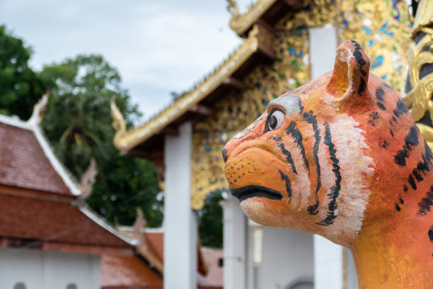 istock Tiger statue in a Buddhist temple 1578157014