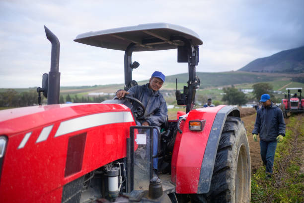 istock Vine cuttings harvest tractor driver driving tractor with another tractor behind 1578193147