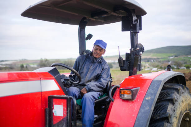 istock Vine cuttings harvest tractor driver driving tractor concentrating 1578193158
