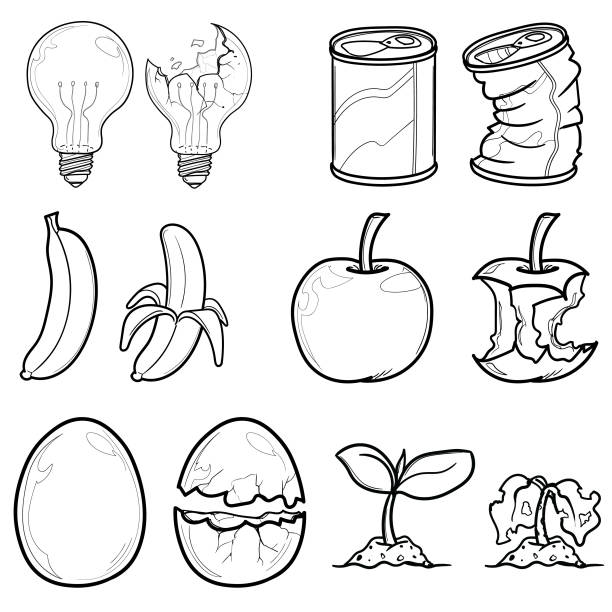 illustrazioni stock, clip art, cartoni animati e icone di tendenza di alimento banana frutta fresco giallo arte luce lampada può uovo seme uovo - white background brown animal egg ellipse