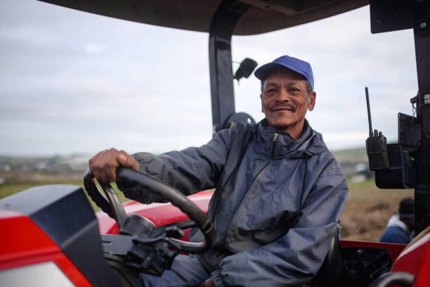 istock Vine cuttings harvest tractor driver driving tractor looking at camera smiling 1578193788