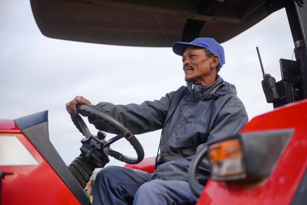 istock Vine cuttings harvest tractor driver driving tractor looking forward 1578193881