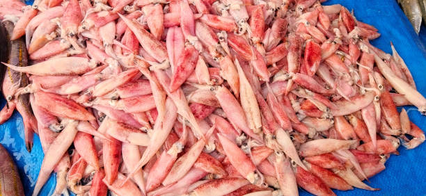 istock red squids in traditional market 1578247709