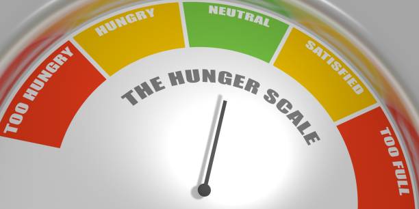 istock Hunger scale with arrow, measurement value. Chart indicating eat stages to evaluate level of appetite control. Mindful eating. Infographic gauge element. 3D render 1578249206