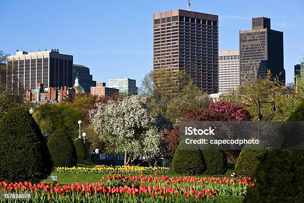 Public Gardens In Spring Stock Photo - Download Image Now - Boston - Massachusetts, Springtime, Beacon Hill - Boston