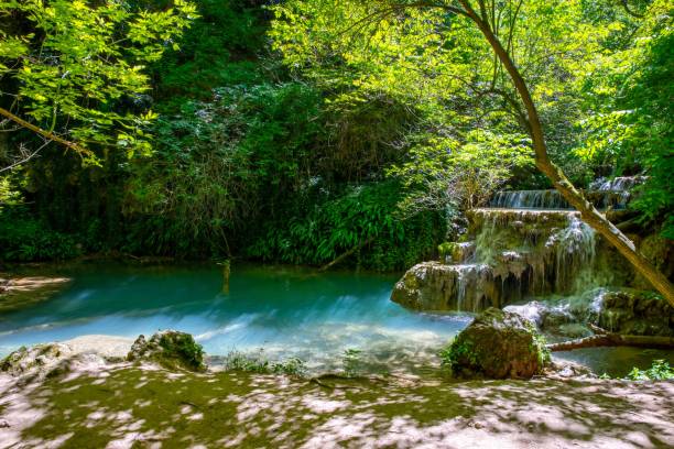 istock Scenic view of waterfall in forest,Krushuna,Bulgaria 1578278621