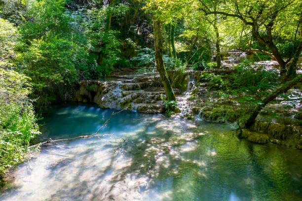 istock Scenic view of waterfall in forest,Krushuna,Bulgaria 1578279181