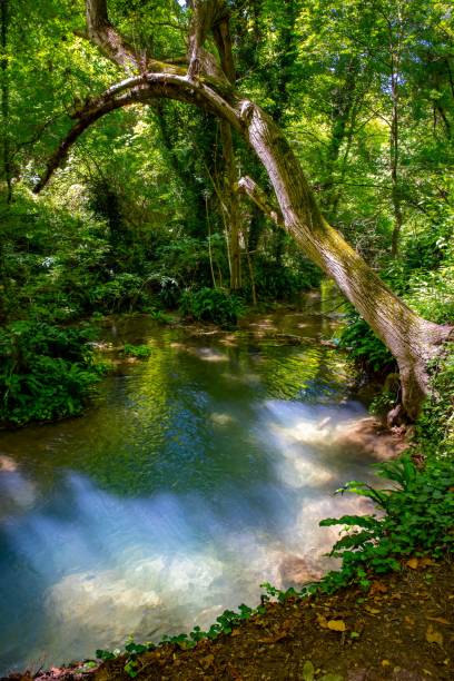 istock Scenic view of waterfall in forest,Krushuna,Bulgaria 1578282908