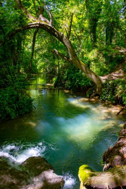 istock Scenic view of waterfall in forest,Krushuna,Bulgaria 1578284997