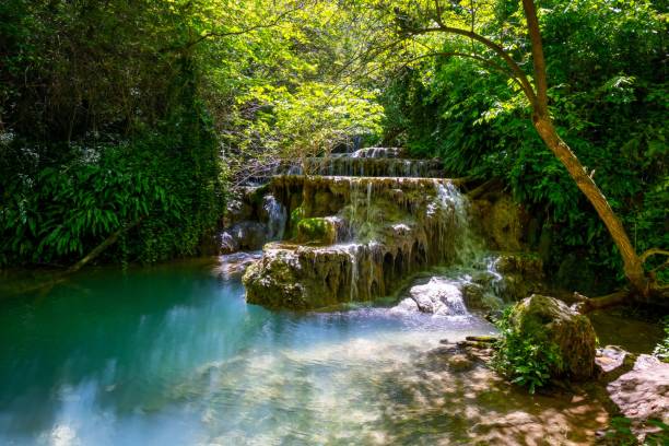 istock Scenic view of waterfall in forest,Krushuna,Bulgaria 1578290435
