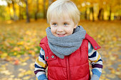 Close up portrait of glad little boy during stroll in the forest at sunny autumn day
