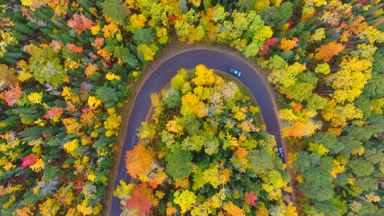 Aerial looking down on 180 degree road with fall trees and cars driving through