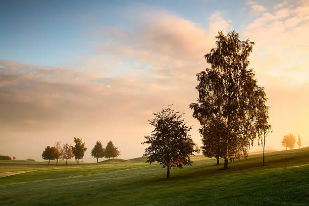 Photo of Misty morning on the golf green