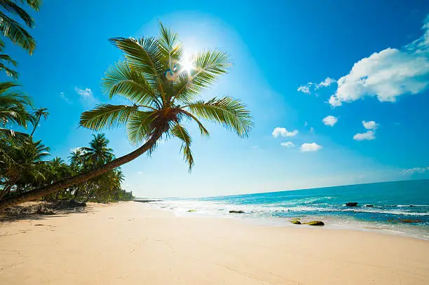 Untouched tropical beach in Sri Lanka